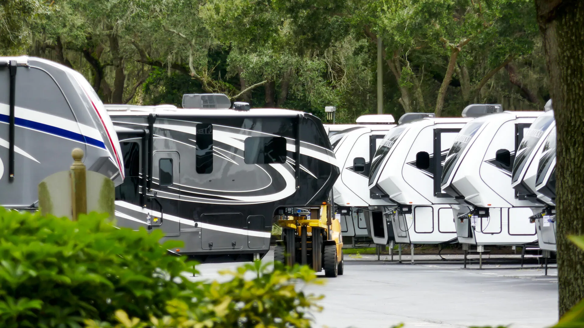 RV